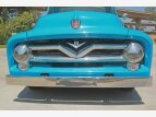 Thumbnail Photo 17 for New 1955 Ford F100